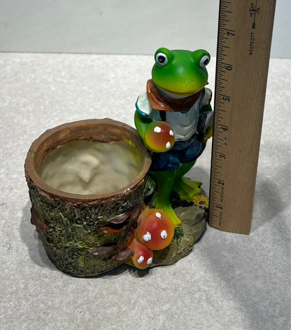 Frog Planter
