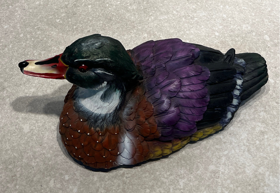 Duck