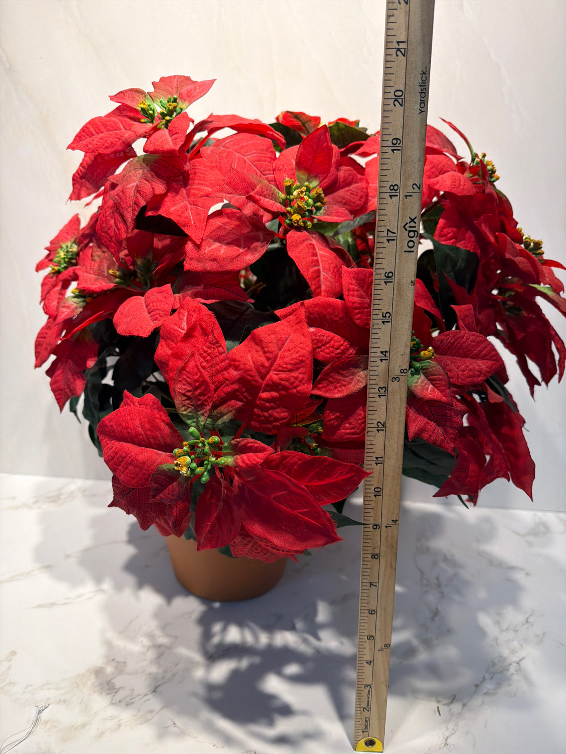 Christmas Floral