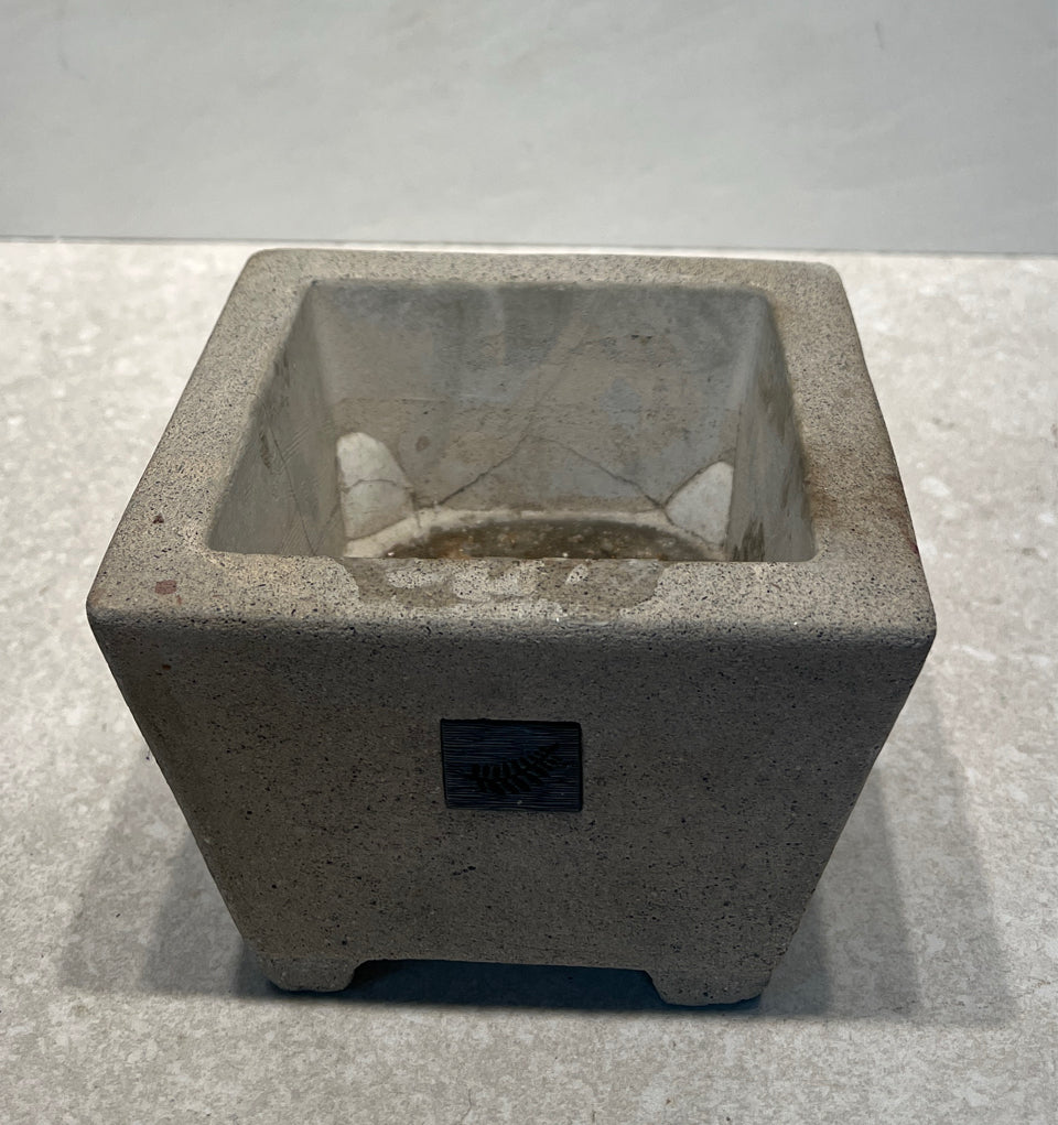 Concrete Planter
