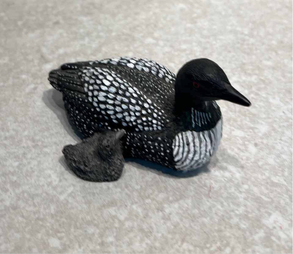 Decoy