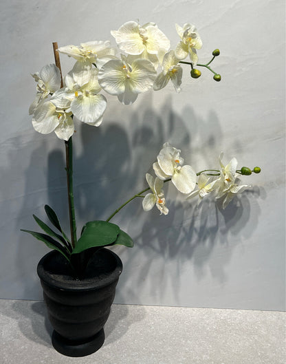 Artifical Decor