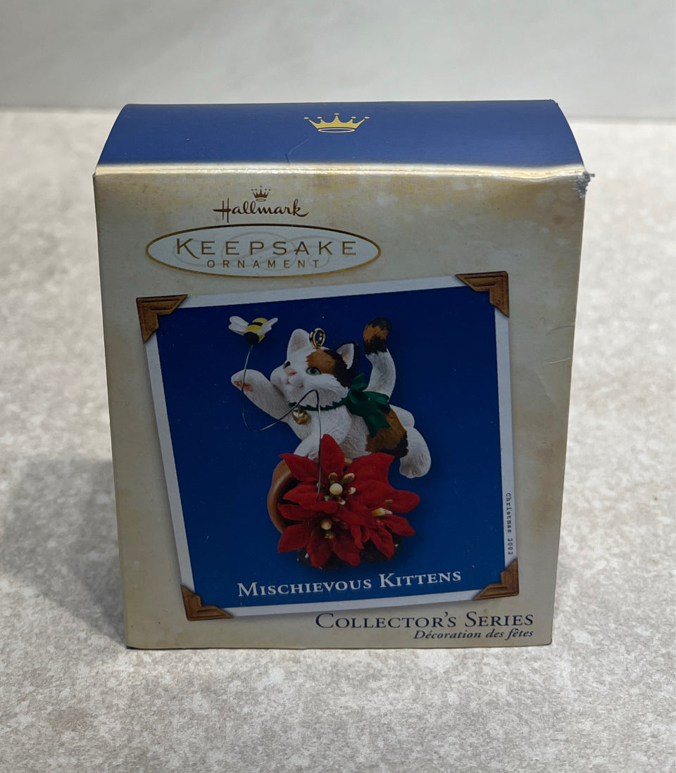 Hallmark Ornament