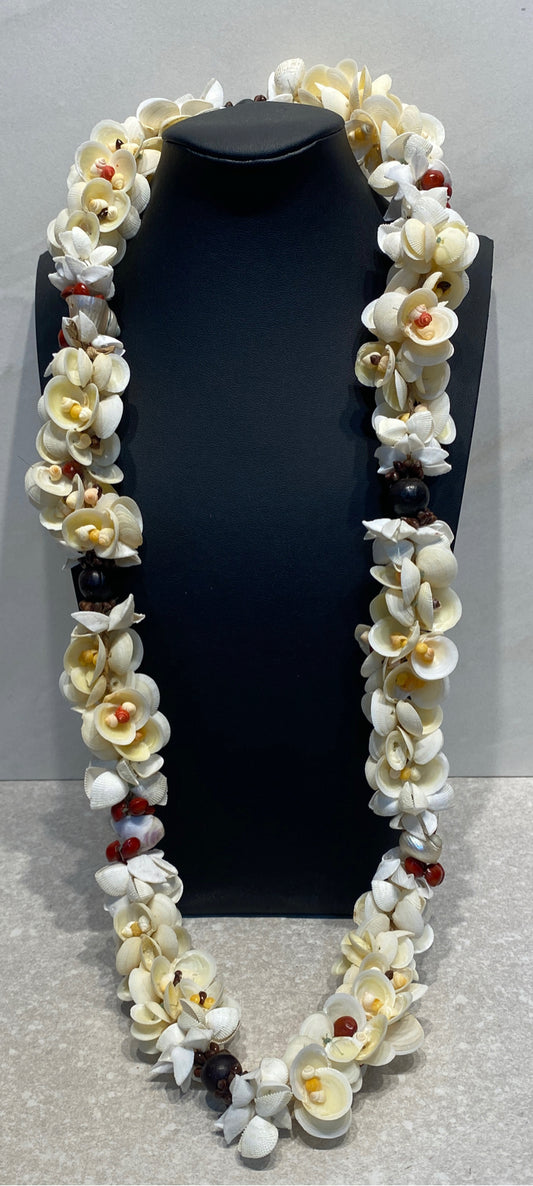 Shell Necklace