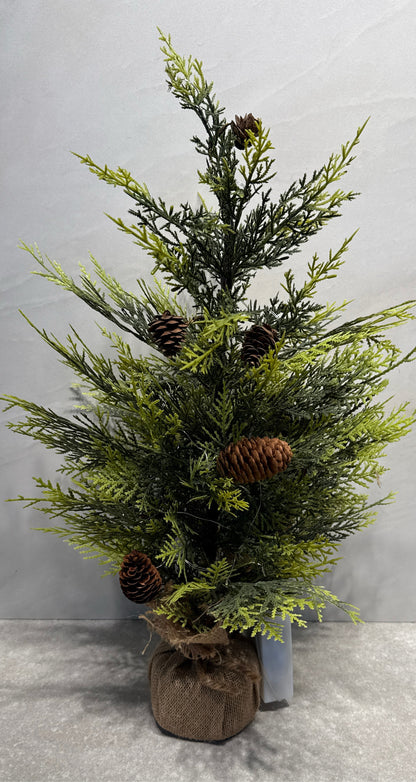 Lighted Tree