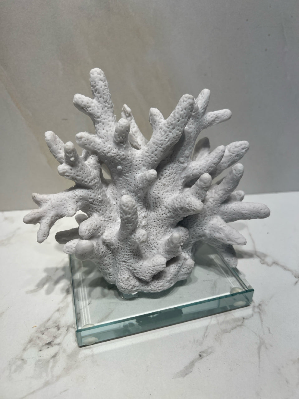 Coral Decor