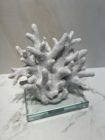 Coral Decor