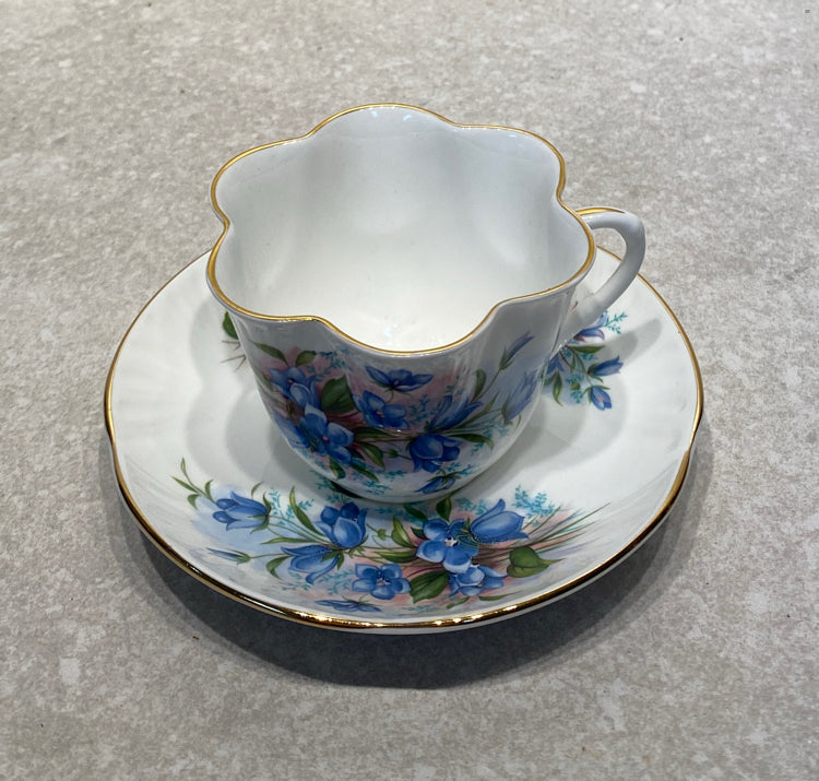 Cup And Saucer