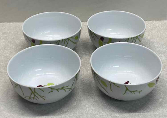 Set of 4 Rachael Ray Bowls