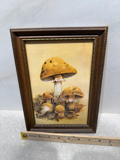 Framed Art