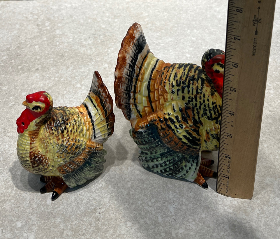 Turkey S + P