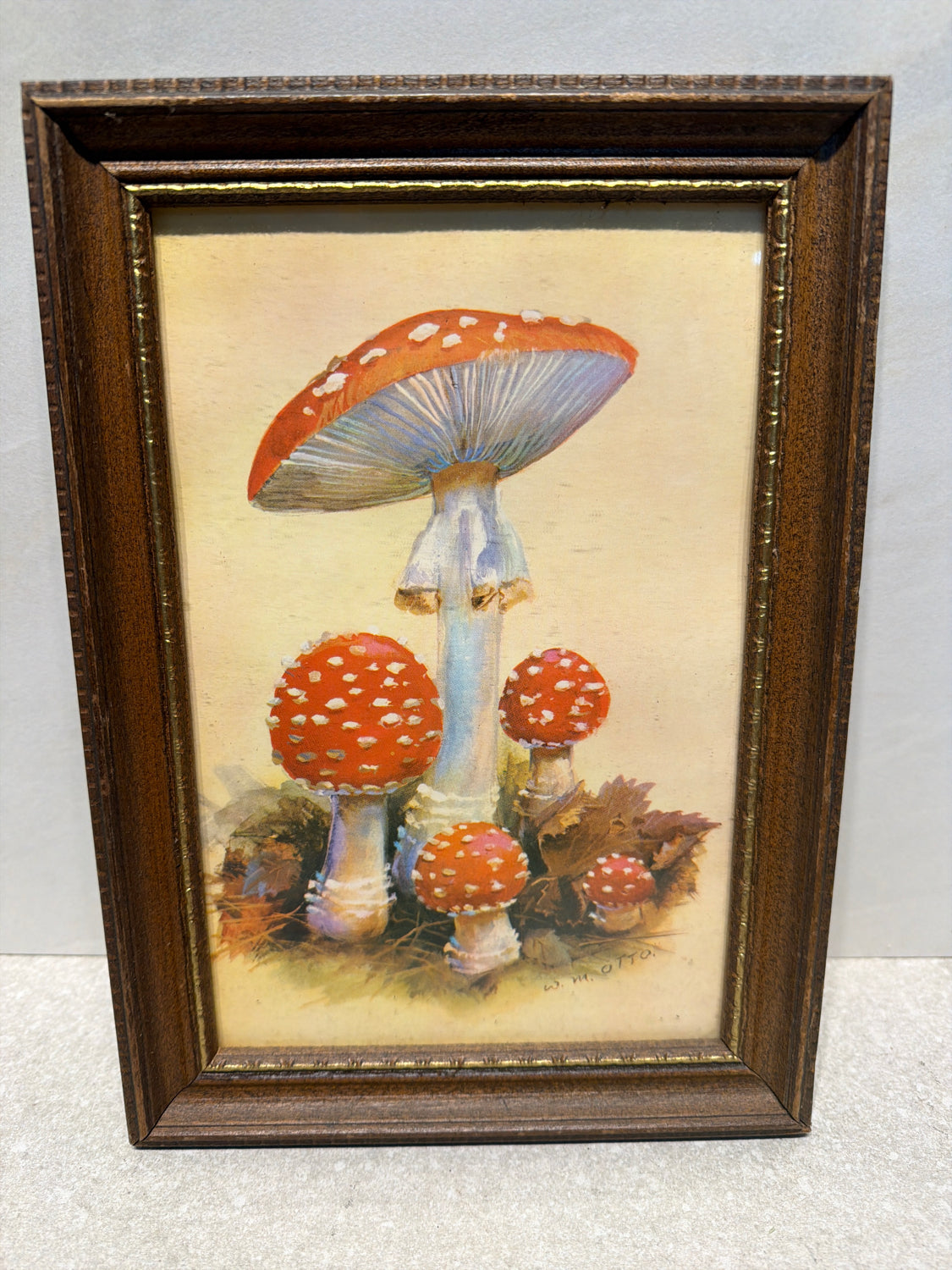 Framed Art