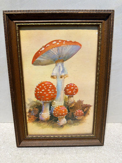 Framed Art