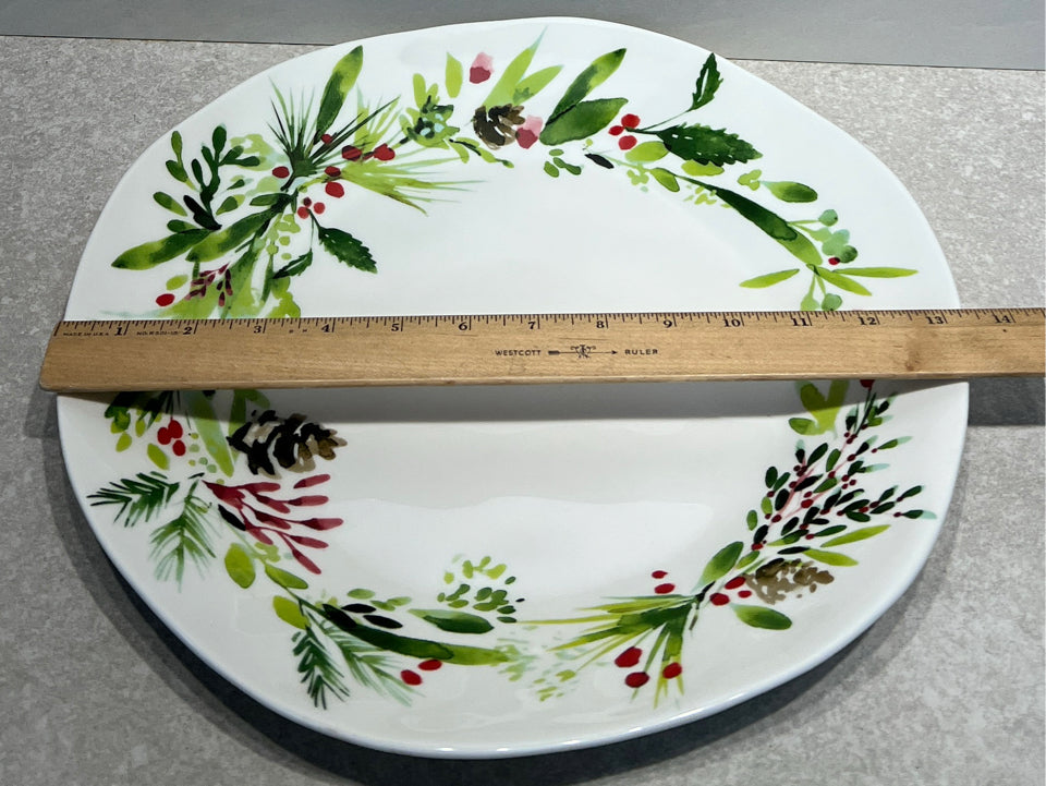Large Dish