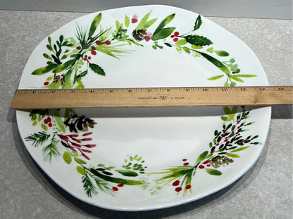 Large Dish