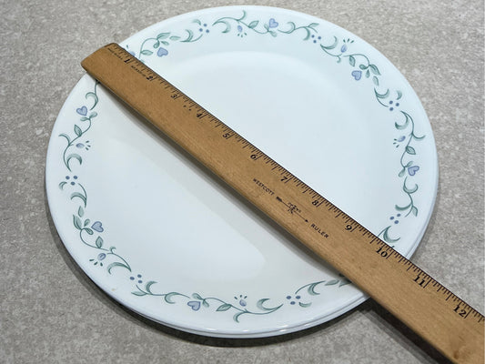 Set of 2 Corelle Dinner Plates
