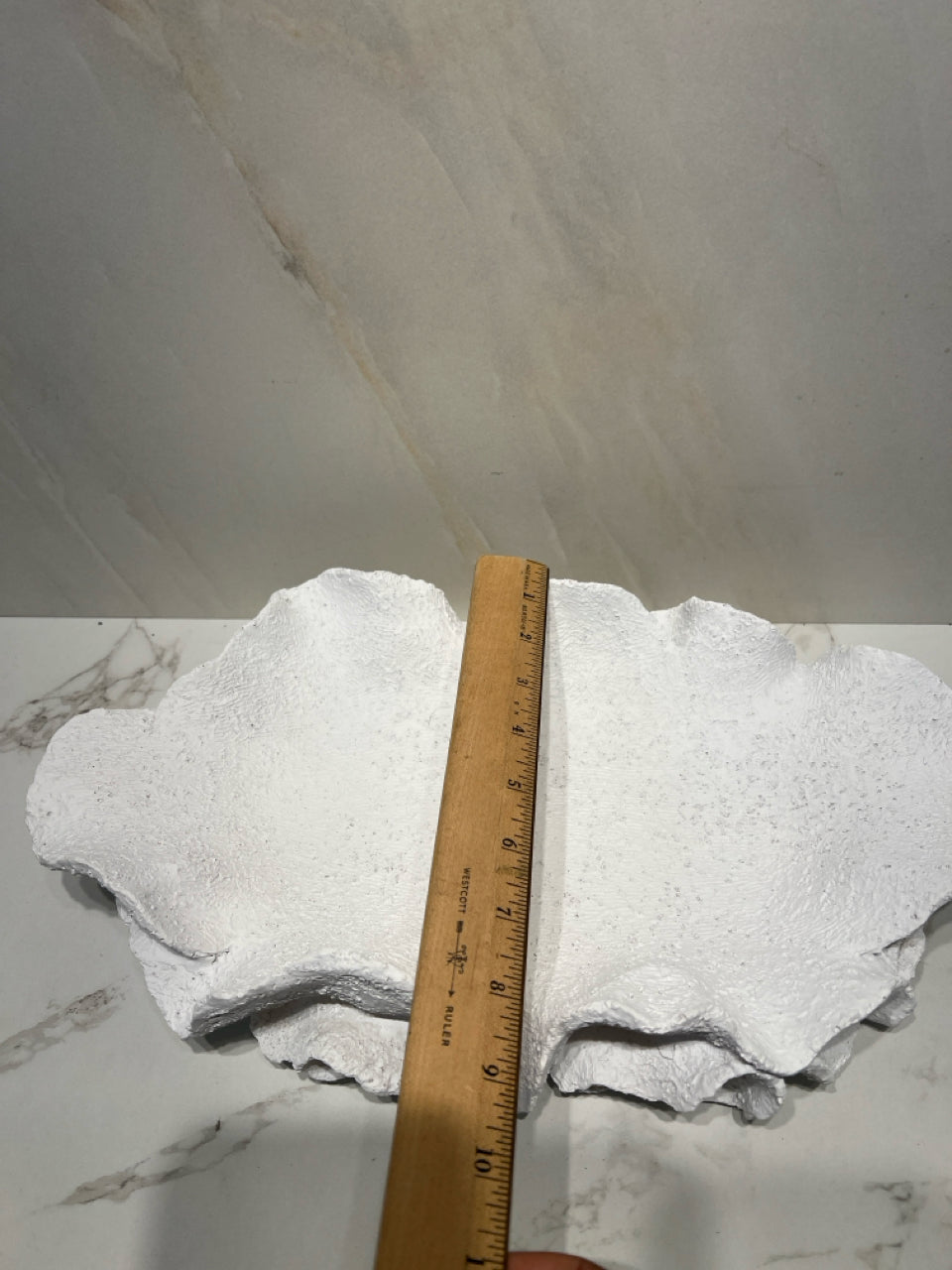 Tray