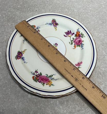 Set of 2 England Plates
