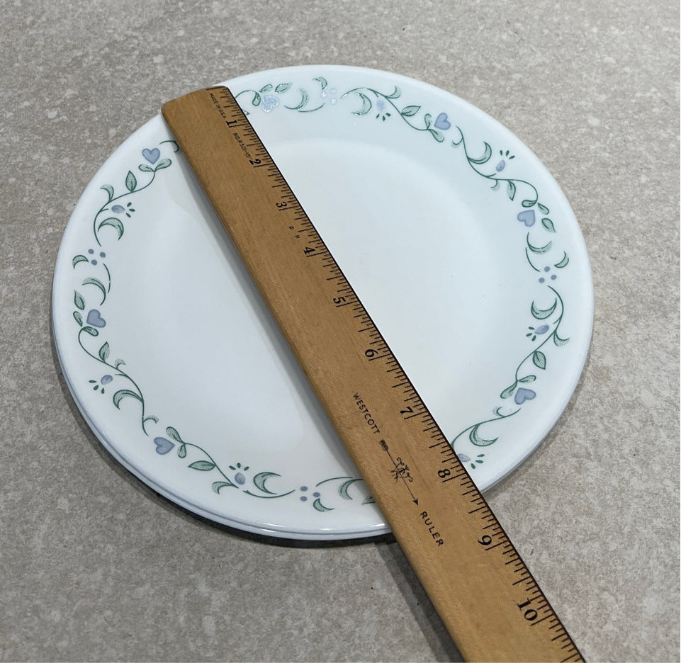 Set of 2 Corelle Plates