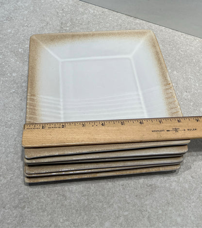 Set of 6 Pier 1 Plates