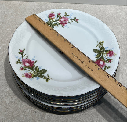 Set of 8 Poland Dinner Plates