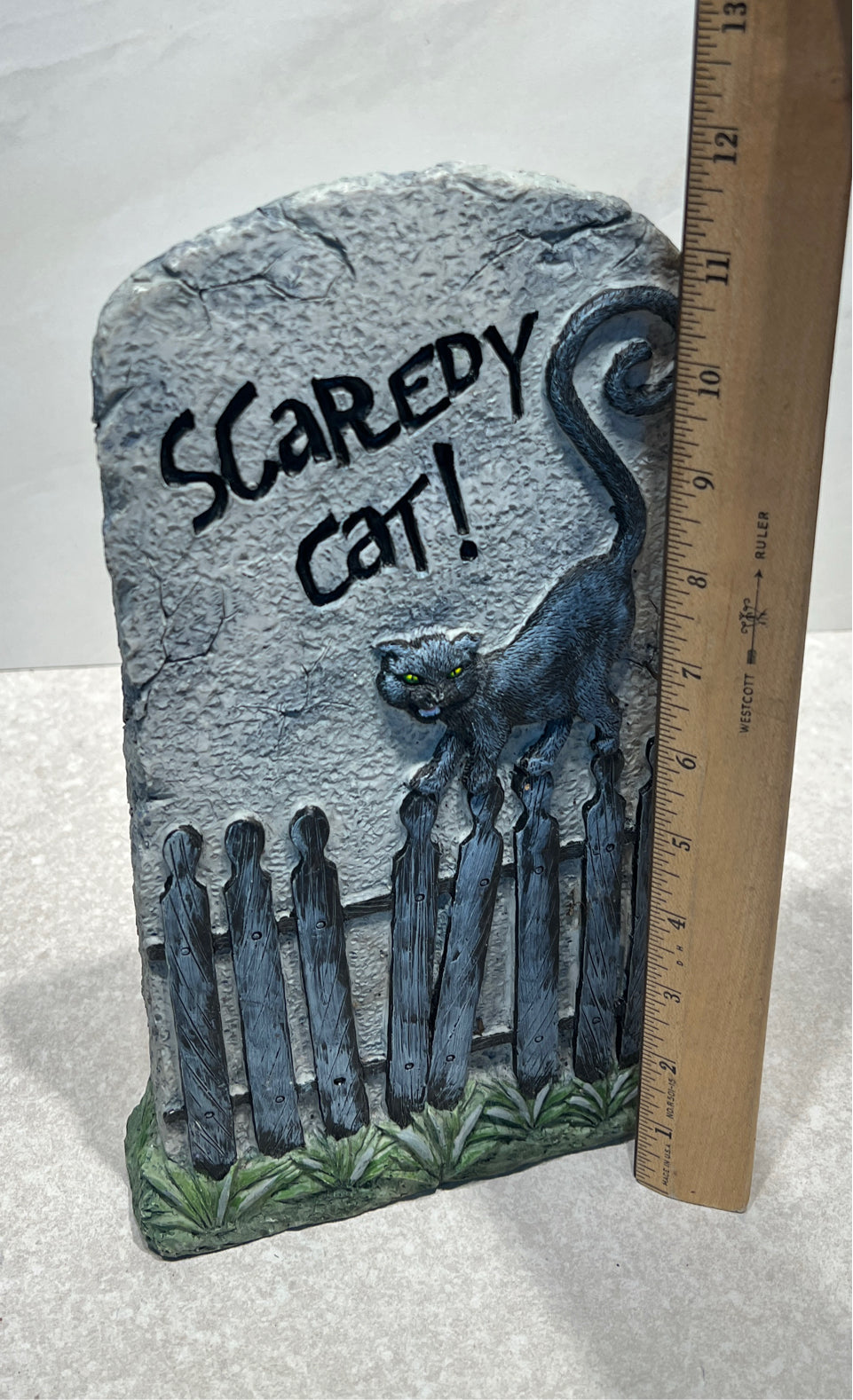 Scaredy Cat