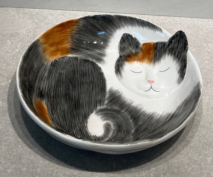 Cat Bowl