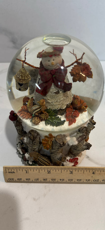 Snowglobe