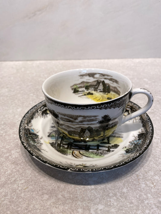 Spring Valley Cup and Saucer