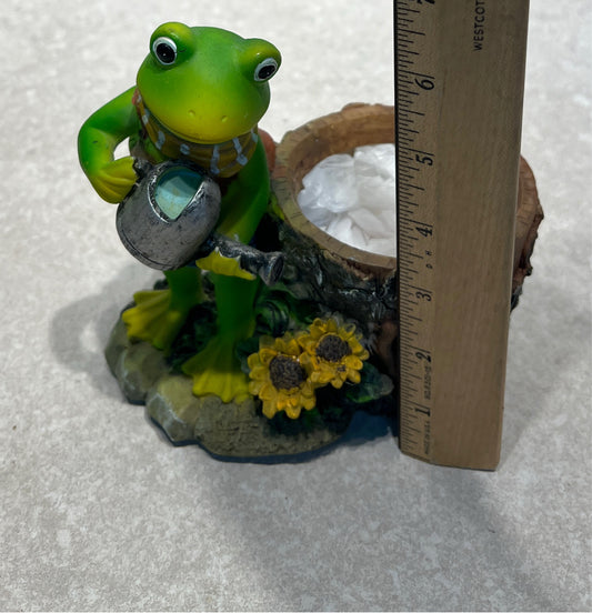 Frog Planter