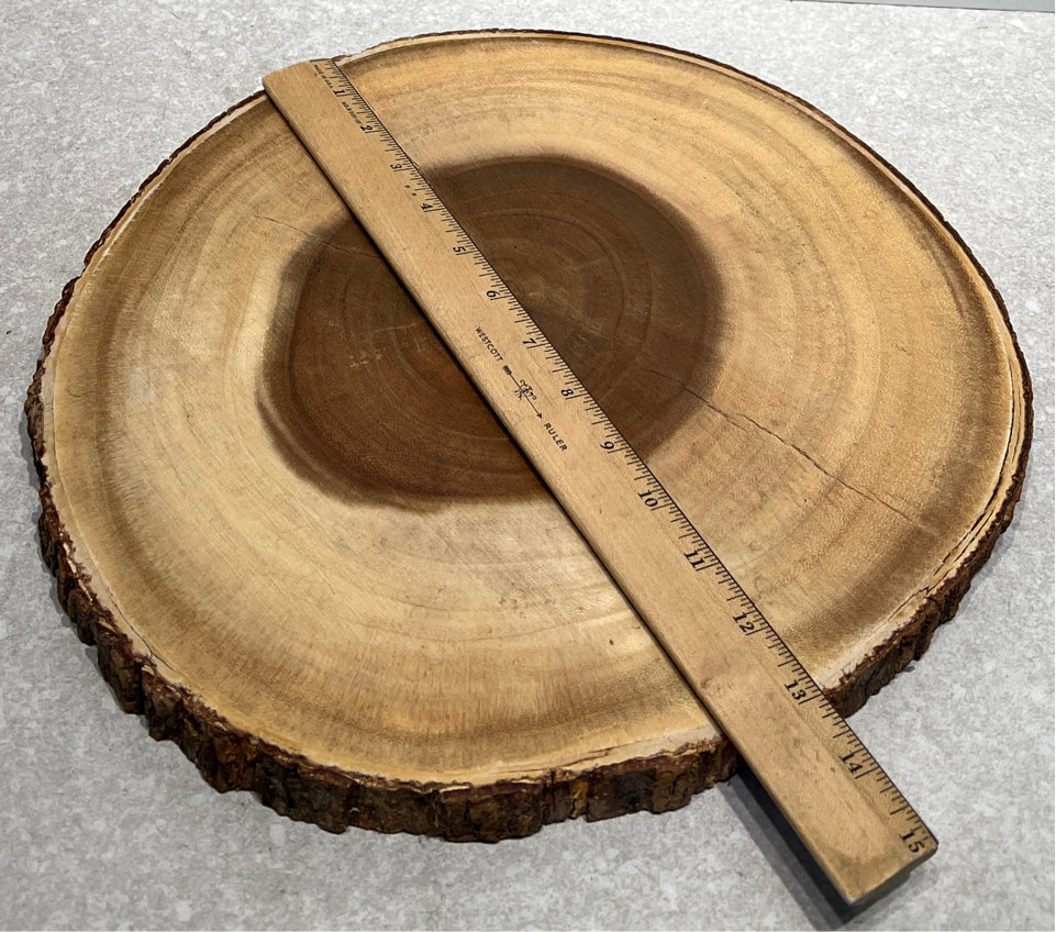 Wooden Slice