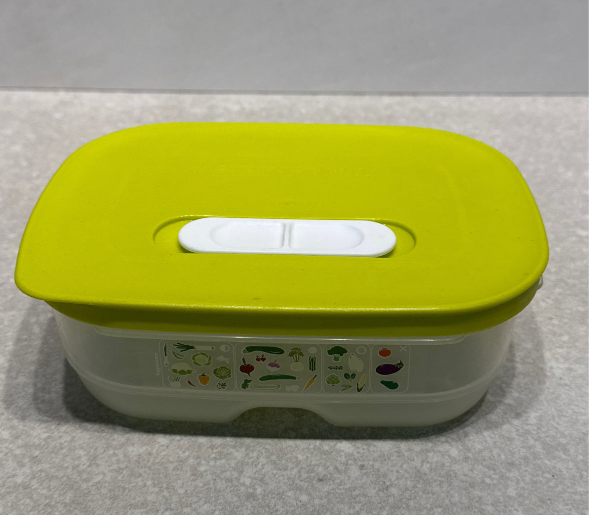 Tupperware Container