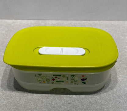 Tupperware Container