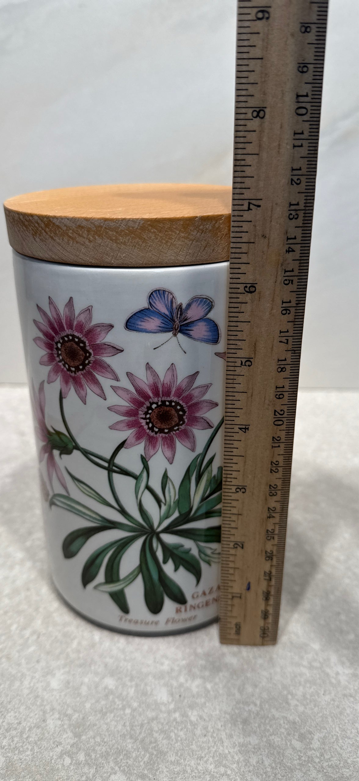 Portmeirion Canister