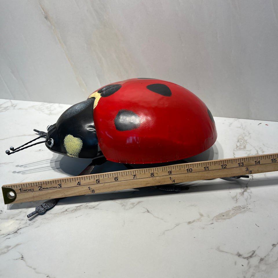 Ladybug