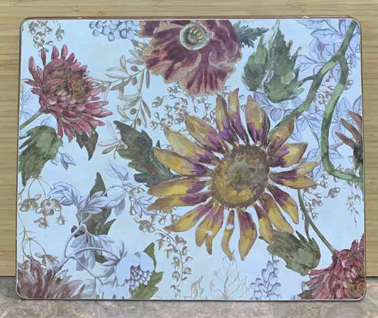 Set of 4 Pottery barn placemats