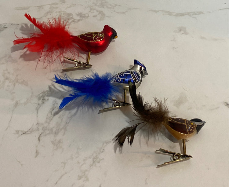 Bird Clips