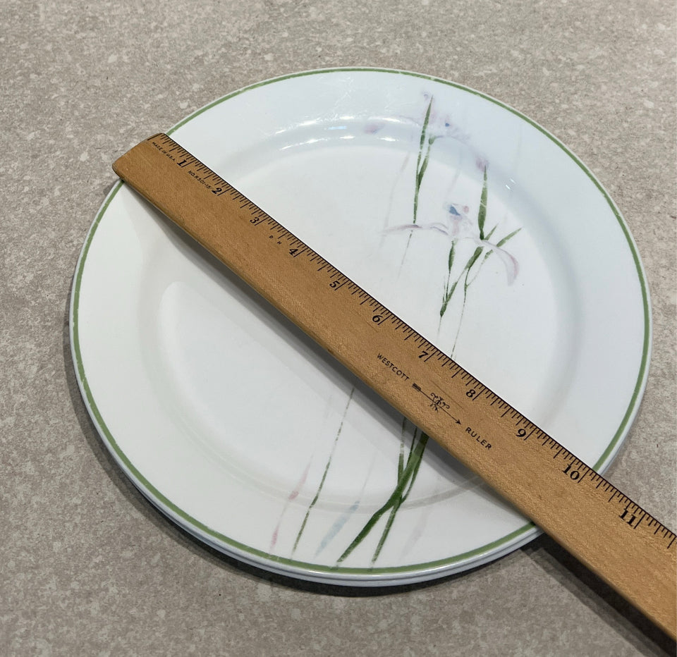 Set of 2 Corelle Dinner Plates