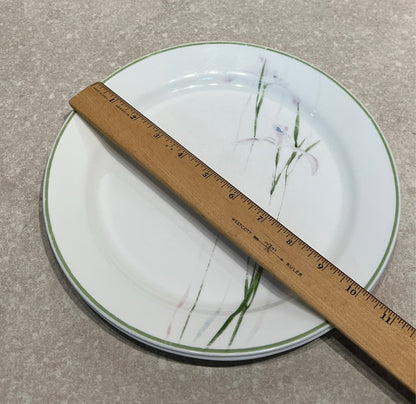 Set of 2 Corelle Dinner Plates