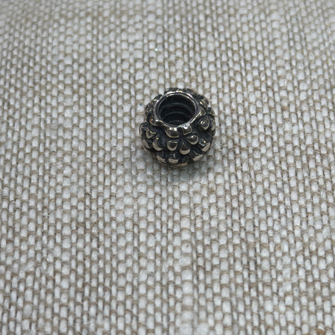 Pandora Sterling Charm