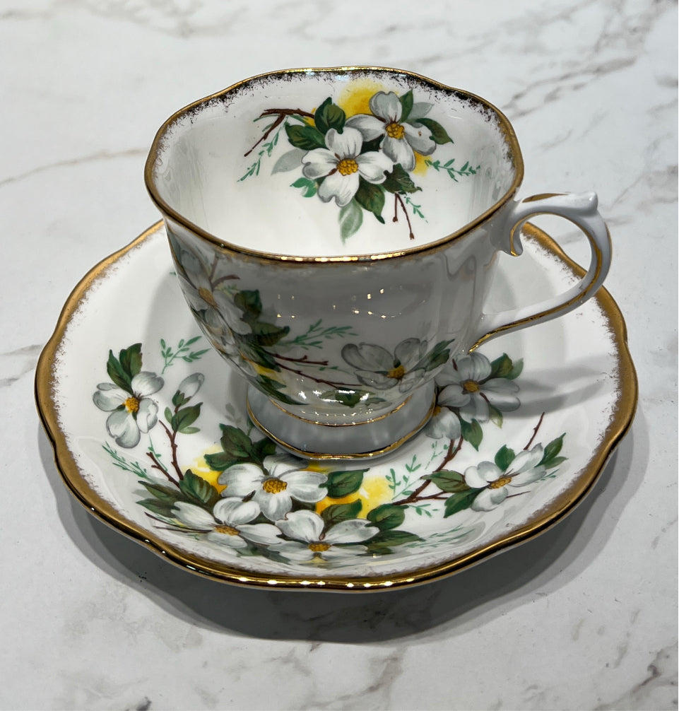 Cup And Saucer