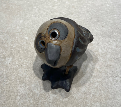 Susan Davis Seagull