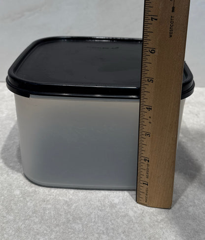 Tupperware Covered Container