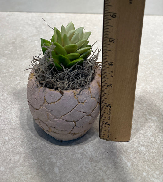 Artifical Decor