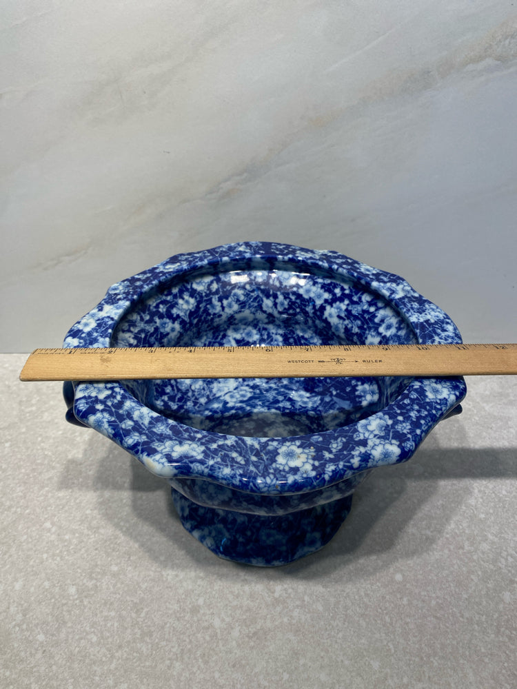 Blue Footed Bowl