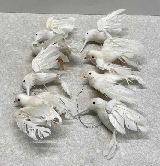 SEt of 8 Birds