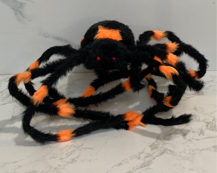 Spider