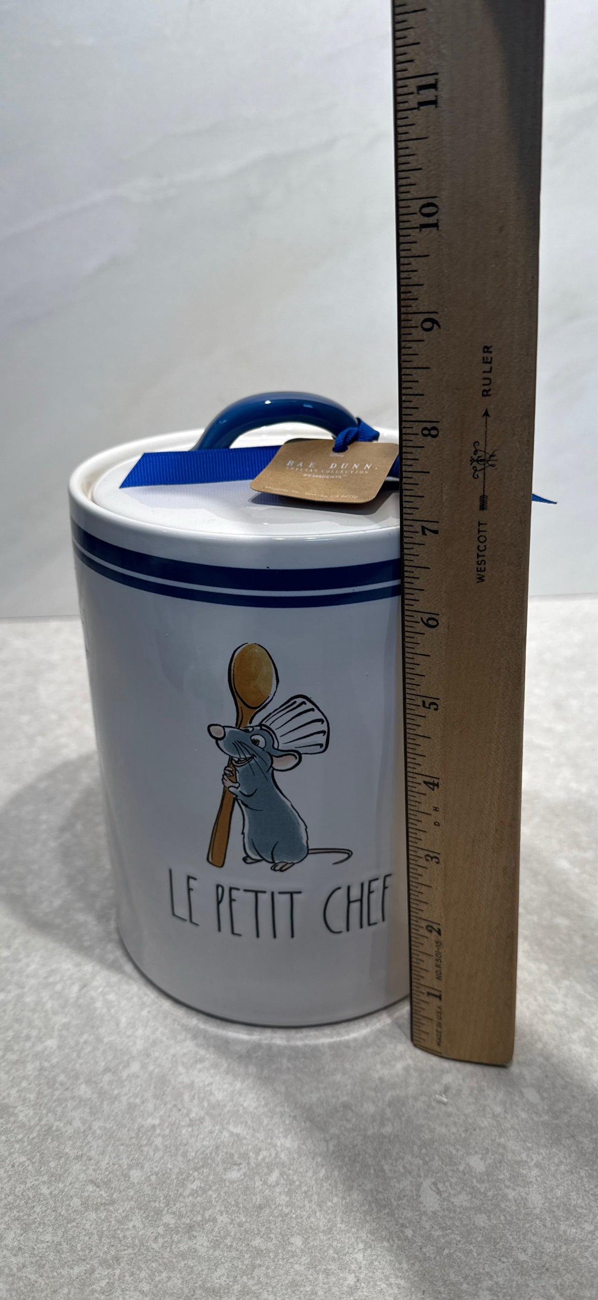 Rae Dunn Pixar Covered Jar