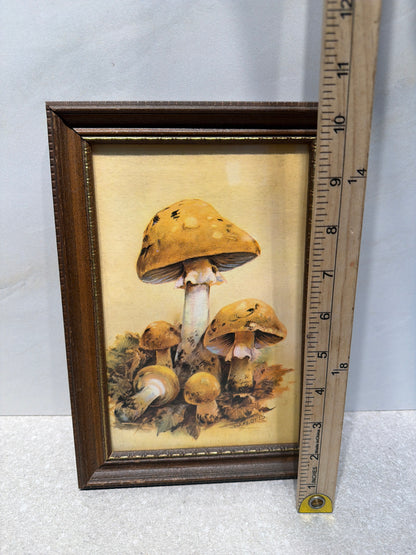 Framed Art