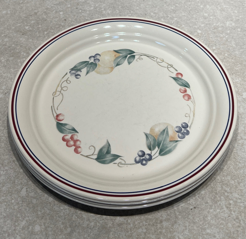Set of 4 Corelle Dinner Plates
